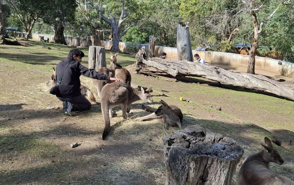 Bonorong Wildlife Sanctuary