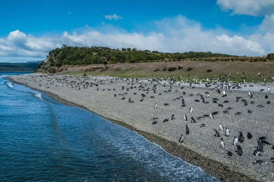 Martillo Island