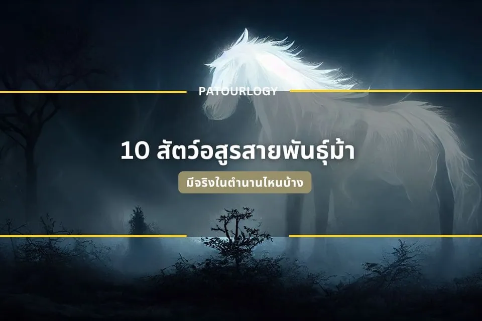 ภาพม้าสีขาวขนาดใหญ่ในฉากหมอกสีน้ำเงินเข้ม มีข้อความภาษาไทย '10 สัตว์อสูรสายพันธุ์น้ำ' และ 'PATOURLOGY' อยู่ตรงกลาง