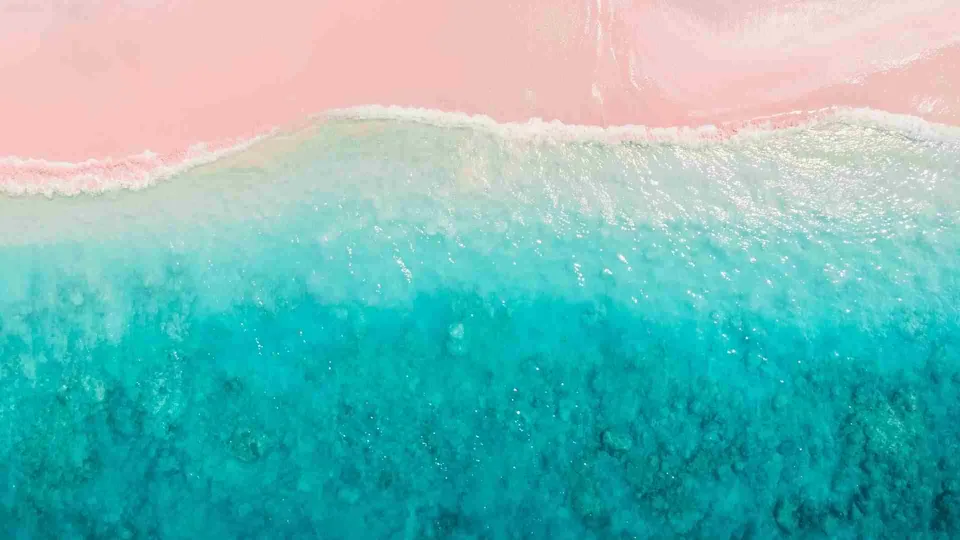 ภาพมุมสูงแสดงแนวชายฝั่งที่แบ่งเป็นสองสีชัดเจน ด้านบนเป็นพื้นผิวสีชมพูอ่อน ด้านล่างเป็นน้ำทะเลสีฟ้าเทอร์ควอยซ์ มีฟองคลื่นสีขาวบางๆ คั่นกลางระหว่างสองสี