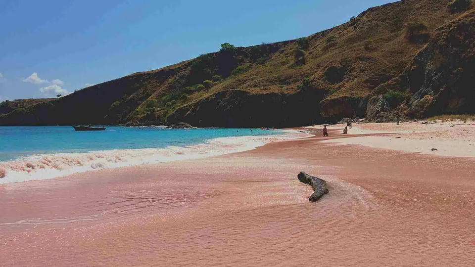 หาดทรายสีชมพูทอดยาวไปจนถึงน้ำทะเลสีฟ้าใส โดยมีท่อนไม้สีดำวางอยู่บนทราย และภูเขาสูงปกคลุมด้วยพืชสีเขียวขจีตั้งอยู่เบื้องหลัง