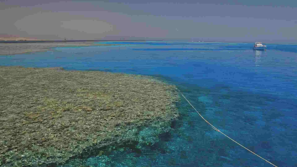 ภาพมุมสูงของแนวปะการังสีน้ำตาลที่ทอดยาวในน้ำทะเลสีฟ้าใส มีเรือลำเล็กจอดอยู่ไกลๆ ทางด้านขวา และมีเชือกเส้นหนึ่งพาดผ่านผิวน้ำ