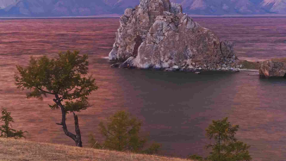 ทิวทัศน์ของแหลมบูร์คฮาน (Cape Burkhan) แสดงหินผาขนาดใหญ่ตั้งอยู่กลางผืนน้ำสีม่วงอมชมพู มีต้นไม้เขียวตั้งอยู่บนเนินหญ้าแห้งด้านหน้า